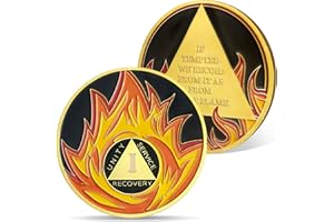 AtSKnSK Monedas y medallones AA de 1 a 10 años de Flames Sobriety Chip Recovery Sobriety Gift para hombres y mujeres (1 año)