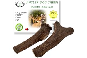 ARTISAN GIFT CO Przekąska dla psa, poroże jelenia, przekąska do żucia, 100% naturalna (L, Sarna - 2st)