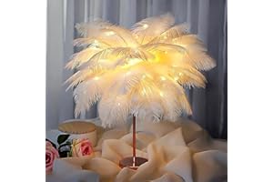 Cakkone Federlampe Echte Straußenfedern, Feder Tischlampe 80led, Feder Lampe 50CM, Aufladen über USB oder Akku