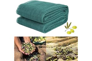 Viceree Rete Raccolta Olive 6x8 Metri Professionale e Resistente alle Intemperie Massimizza Raccolto con Telo Telone Antispina 30 g/m2 di Alta Qualità Multiuso per Frutta Secca Noci Mandorle da Caduta