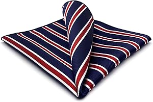 S&W SHLAX&WING Einstecktücher für Herren gestreift Streifen Geschäftsgeschenk Blau Braun