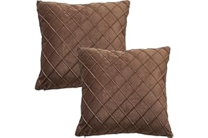 GONOVE Velvet Cushion Covers 45X45cm Soft Decorative Brown Throw Pillow Cases Pack of 2 Square Pillow Covers Pillowcases with Invisible Zipper for Home Couch Sofa Bed