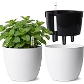 T4u Self-Watering Pot 17.5 cm Pack of 2 with White Water Indicator | Reduced Watering, Easy Water Control, Hydrated Roots, Po