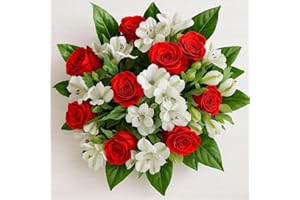 Blumenstrauß mit roten Rosen, weißen Alstromerien und Pistazienzweigen - Inklusive Grußkarte