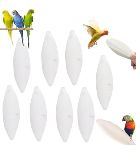 Cutiolly Osso Di Seppia Naturale Per Uccelli - 8 Pezzi Con Bottoni - Per Pappagalli E Animali Domestici