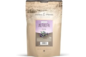 123GELULES Alfalfa (ou Luzerne) - Medicago sativa - poudre 1 Kg