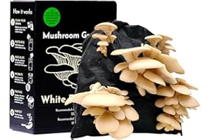 Urban Farm-It Mushroom Growing Kit (XL White Elm Oyster Mushroom) | Gifts for Women, Men & Kids | with Voucher to Claim Living Spawn Separately for Better Yield | Easy to Use & Delicious to Eat