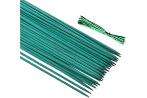 CAKKVDE 50PCS Bamboo Plant Support Sticks with 50 Twist Ties - 30cm Garden Stakes for Flowers, Peas & Climbing Plants - Lightweight 5mm Thickness Plant Sticks