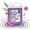 Maxkleen 5 Litre - 2in1 Disinfectant Surface & Floor Cleaner Liquid +Insect Repellent with Natural Oils | Suitable for All Floor Cleaner Mops | Kills 99.9% Germs| Safe for Kids & Pets