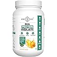 Nature’s Island Plant Protein 1 Kg | Canadian Pea Protein Isolate | Vegan | 25g Protein/Serving | Easy To Digest | All Essential Amino Acids | No Sugar | No Preservatives | Mango Flavour