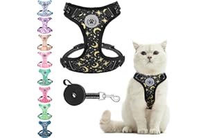 BEAUTYZOO Ensemble harnais et laisse anti-fugue pour chat, harnais réglable pour chaton, chiot, chaton, chiot et chat de petite, moyenne et grande taille, doux, mignon et facile à contrôler pour