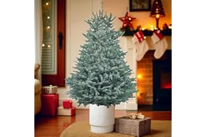 Carbeth Plants Blue Spruce Pot Grown Christmas Tree - Real Living Evergreen Potted Festive Tree - Fresh Premium Reusable Xmas Indoor Outdoor Plant in Pot (4ft (120cms))