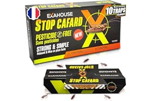 ExaHouse 10 Pièges Anti Cafards Puissant Gel et Poudre Appât, Traitement Anti Cafards, Produit sans Insecticide a Blattes pour Interieur, Garage, Locaux Professionnels