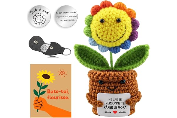 EKKONG Tournesol Crochet Pocket Hug, Tournesol Positif, Tournesol De Soutien Émotionnel avec Porte-clés Motivant, Carte, Décoration Maison/Bureau Anti-Stress, Cadeau Positif pour Femme, Amie (B)