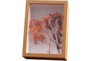 FAVORTALK Deep Box Frames Shadow Box - 4X6 Picture Frames for Crafts 3D Deep Picture Frame Wood Display Case 5 CM Depth for Flowers (Wood429,Depth 5CM)
