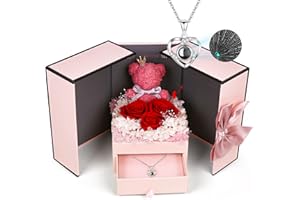 Konijiwa Preserved Real Rose Gifts for Her Girlfriend Wife Eternal Flowers Rose with I Love You Necklace in 100 Languages Gifts for Womens Romantic Gifts on Birthday, Christmas