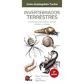 Invertebrados terrestres (2 edicion) (GUIAS DESPLEGABLES)