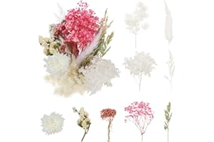 DATEFUN Flores Secas Naturales - Flores Prensadas Secas para Resina - Flores Secas Manualidades para DIY Decoración, Tarjetas Álbum Recorte, Vela Arte de Uñas (3)