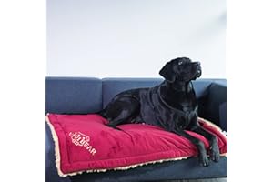 Vivi Bear Coussin pour Chien, Couverture pour Chien De Voiture avec Corde De Rangement, Couverture pour Chien D'IntéRieur Et D'ExtéRieur pour Chiens Moyens Et Grands (Rouge110 x 70cm)