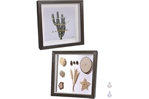 Houstimi 3D Dark Walnut Picture Frame Square Wood Object Frame Pack of 2 Shadow Box Photo Frame Made of Solid Wood and Real Glass Depth 1.5 cm 20.3 x20.3 cm