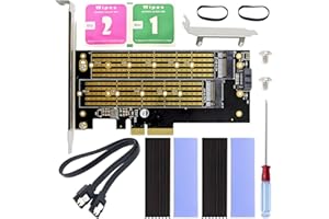 ZHUROUPU 2 in 1 M.2 SSD to PCIe 4.0 X4 Adapter Conversion Card, NVME (M-Key) and SATA (B-Key) Dual Expansion Card 22110 2280 2260 2242 2230 M.2 SSD to PCI-E X4 Heatsink and SATA Cable