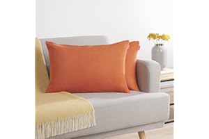 Blumtal Federe Cuscini Divano in Ciniglia, Copricuscini Divano, Federe Cuscino Divano, 2 Pezzi, 40 x 60cm, Arancione