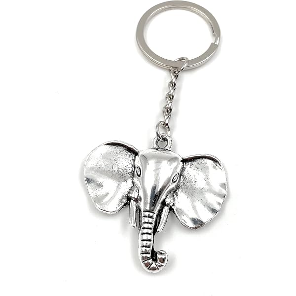Onwomania Kolibri-Schlüsselanhänger Aus Metall – Glücksbringer & Geschenk Für Freundin, Mama Oder Kinder