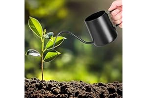 Norhogo 350 ml, czarna konewka, mała roślina pokojowa, mini konewka, stal nierdzewna, z długim dzióbkiem z łabędzią szyją, konewka ogrodowa, do roślin pokojowych, sukulentów