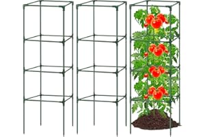HYDREAM 3Pack Tomato Cages for Garden,Square Tomato Plant Cage Support Heavy Duty Pole 57*15.4*15.4 Inches,Steel Plant Tower Stakes,Cherry Tomato Trellis Cucumber for Climbing Vegetables Flowers Fruits-Green