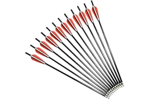 ELONG OUTDOOR Arbalète boulons flèches Fibre de Verre 12 "14" 16 "Chasse tir à l'arc Cible flèche avec remplacé 100 Pointes de flèche Plates encoches