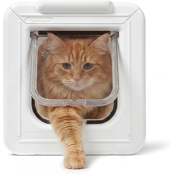 SureFlap Microchip Cat Door- White : Amazon.in: Pet Supplies
