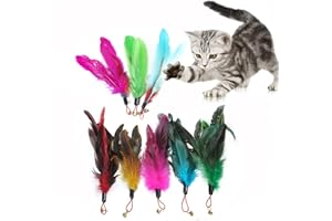 SHULLIN Lot de 8 plumes interactives pour chat - Plumes de rechange - Jouet pour chat - Plume - Jouet à ressort - Pour chat - Multicolore