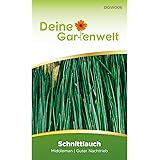 Schnittlauch Samen (Middleman) | Schnittlauchsamen | Saatgut für Schnittlauch-Pflanzen | Kräutersamen