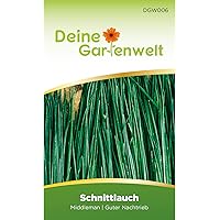 Schnittlauch Samen (Middleman) | Schnittlauchsamen | Saatgut für Schnittlauch-Pflanzen | Kräutersamen