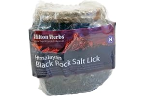HILTON HERBS Black Himalayan Salt Lick 1kg