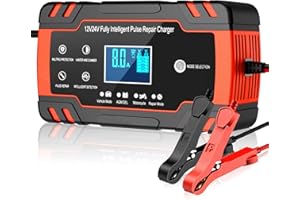 Husgw Car Battery Charger,8A 12V/4A 24V Car Battery Charger, Leisure Battery Charger,Automotive Smart Portable Battery Charger Maintainer/Pulse Repair Charger Pack for Car, Motorcycle, Lawn Mower(Red