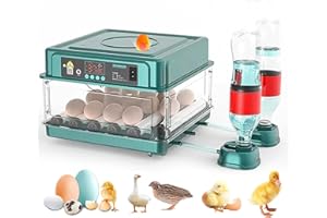 QAWNER Couveuse Oeuf Automatique, Incubateur Automatique 15-36 Oeufs, avec Système de Retournement Automatique et Contrôle de la Température, pour Éclosion d'Œufs de Poule Canard Caille (24 Oeuf)