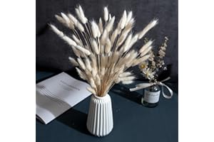 CHBOP 120 x Getrocknete Lagurus Pampasgras Pampas Deko Trockenblumen Trockenblumenstrauß Natürliche Blumendekoration Gräser für Hochzeit Innendekoration Schlafzimmer Wohnzimmer (Weiß)