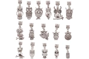 PH PandaHall 32pz Ciondolo Gufo Portafortuna in Lega Ciondoli Laurea Gufo, 16 Stili Ciondolo Argento Antico per Portachiavi Laurea Bomboniera Braccialetto Collana Gioielli