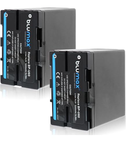 LCD Dual Quick Charger for Sony BP-U30, BP-U60, BP-U90 Battery in