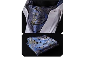 HISDERN Krawattenschal Herren Hochzeit Punkt Halstuch Taschentuch Paisley Business Ascot Krawatte und Einstecktuch Set