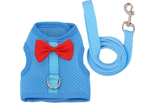 Laisses pour lapin - Harnais léger en maille pour petit animal - Harnais léger et laisse - Ensemble harnais pour lapin - Vêtements pour chaton, chiot et petits animaux de compagnie