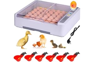 BREUAILY Incubatrice Automatica 36 Uova Incubatrice per Uova di Gallina con Rotazione Automatica Delle Uova Temperatura Intelligente e Controllo Dell'Umidità per Pollame Galline Anatre Quaglie