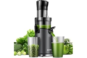 GDOR Slow Juicer Entsafter für Gemüse und Obst mit 90mm XL Einfüllöffnung, Hohe Saftausbeute Entsafter, Leise & BPA-frei, Einfach zu Reinigen, Elektrische Saftpresse mit 2 Gläsern & Bürste, 200W