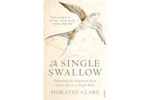 A Single Swallow: Following An Epic Journey From South Africa To South Wales