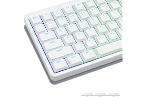 Womier Low-Profile-Tastenkappen – Durchscheinend und individuell PBT-Keycaps für mechanische Tastaturen (60 %, 65 %, 75 %, 80 %, 100 %) mit Cherry- oder Gateron-MX-Switches, weiße Beleuchtung