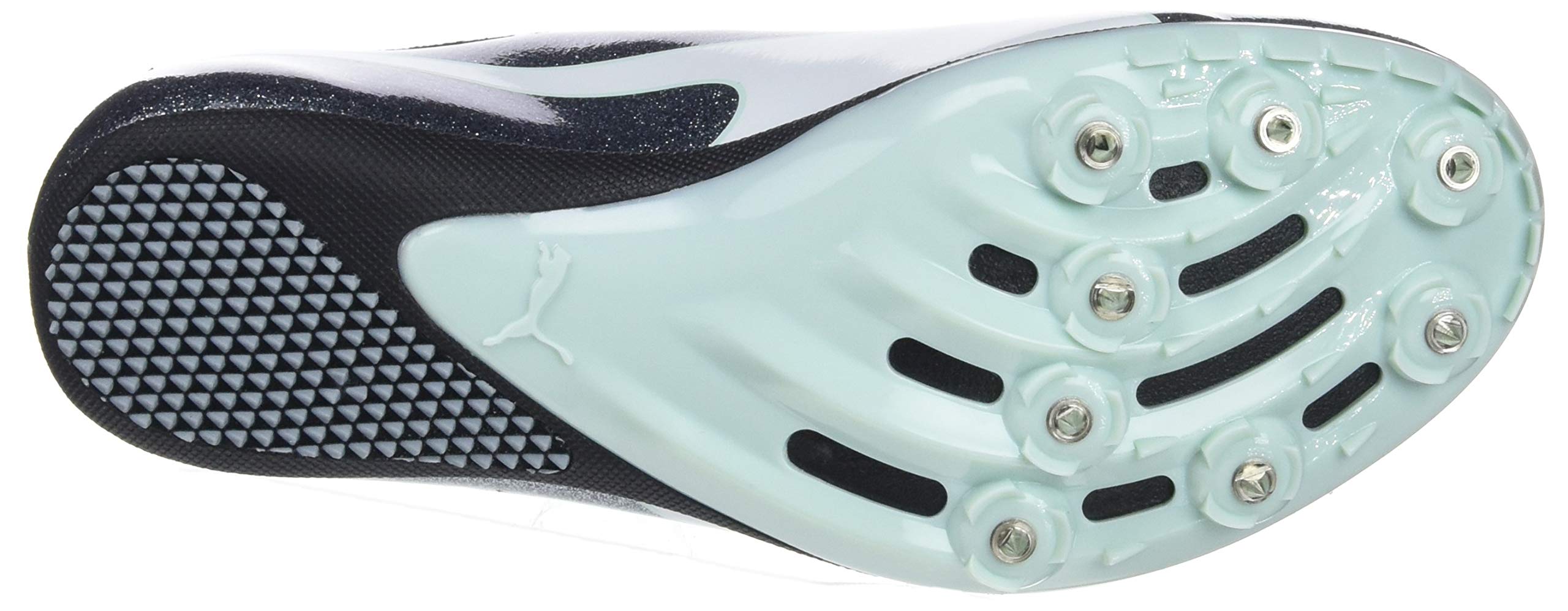 evospeed sprint 9