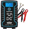 Ring Automotive 6A Smart Car Battery Charger & Maintainer - Suitable for All Cars: Connect Quickly with Clamps or Included O-Ring Terminals, Black