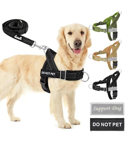IDC Powergeschirr Für Hunde – Größe L/1, Mixed Heart, Professionelle Kontrolle