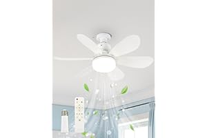 AOLED Deckenventilator Mit Beleuchtung 6 Flügeln Dimmbar Ventilator mit Leise,3Farbtemperatur und 3Geschwindigkeiten 51cm Weiß Timing Deckenleuchte Fan Mit Fernbedienung für Schlafzimmer Dachboden Esszimmer